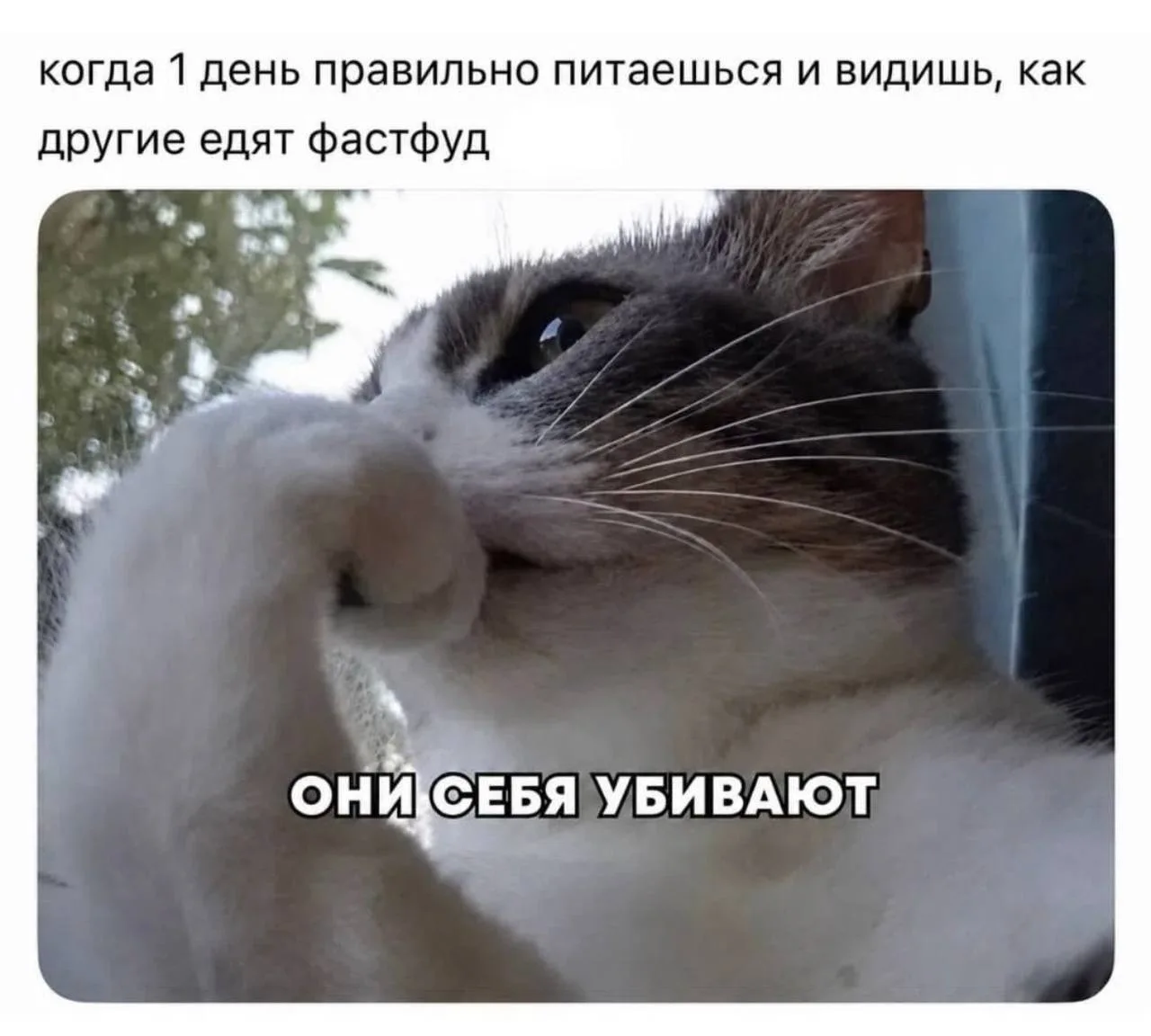 Я )