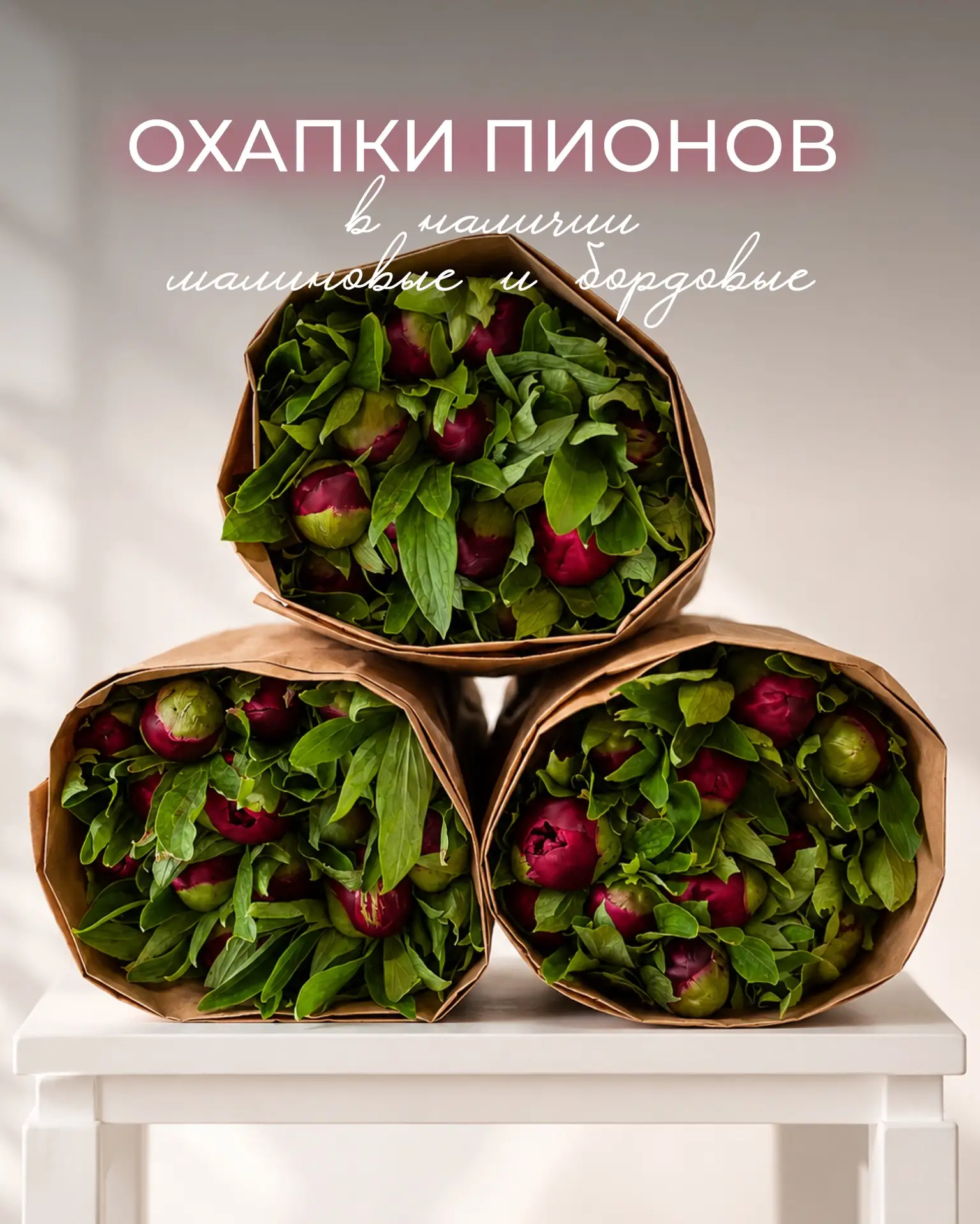 В наличии бордовые и малиновые пионы🌺