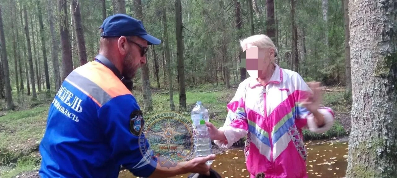 Покусанную пчелами женщину эвакуировали спасатели из леса