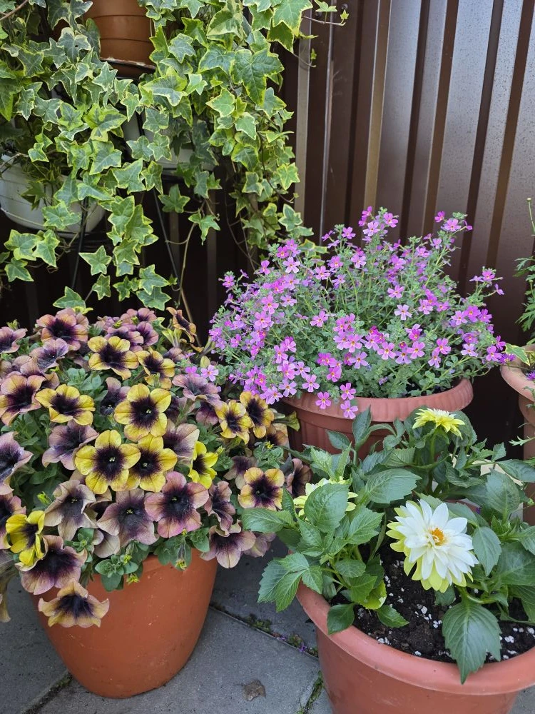 Бесконечный простор для творчества. Люблю свою работу 🌱😍