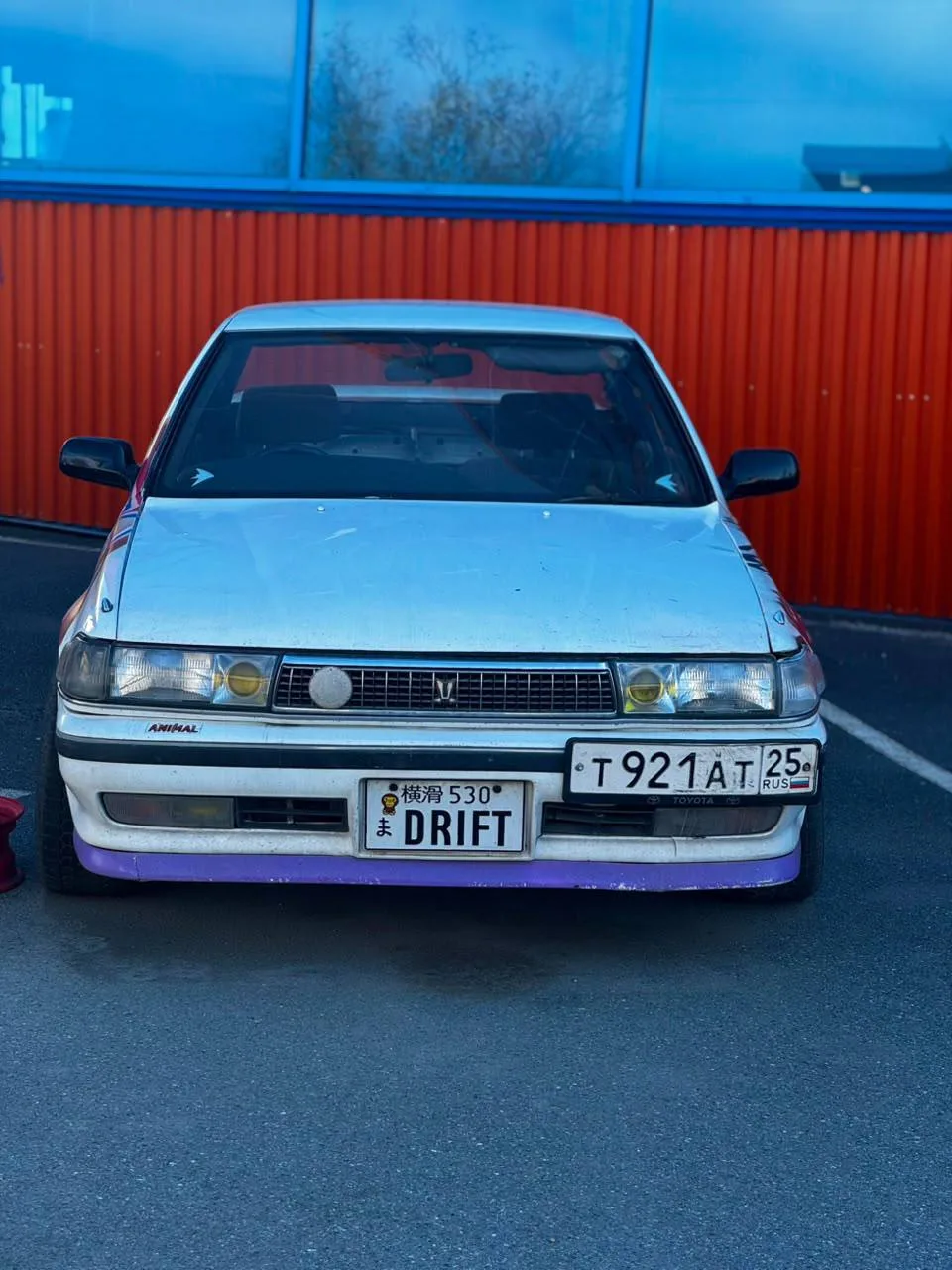 Креста 81
