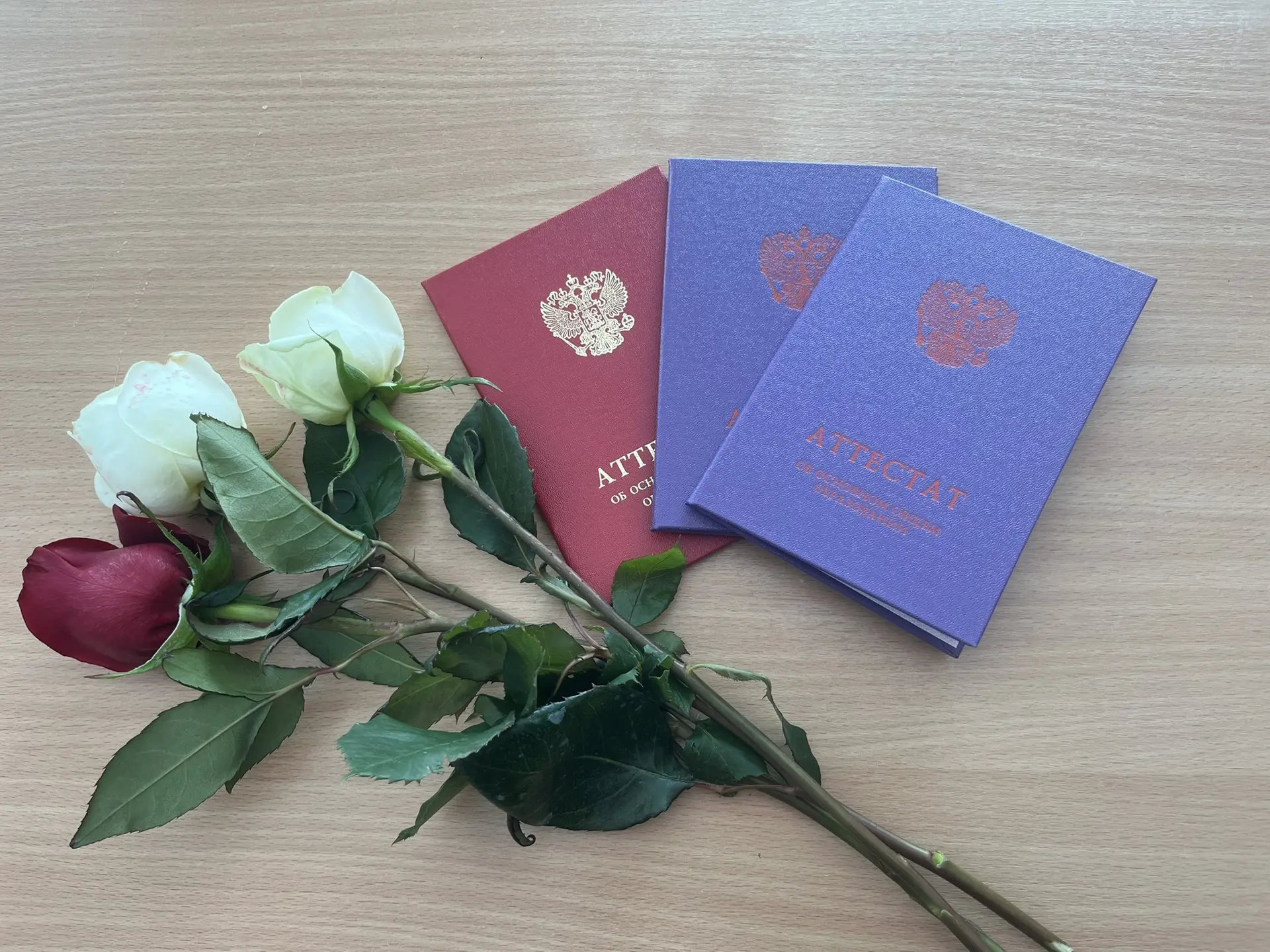 📕📚Аттестат в руках — это только начало. Поздравляю! Впереди целая жизнь, и она будет такой, какой 