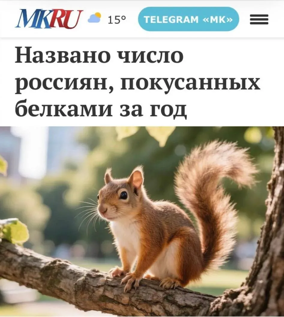 😎 новость дня. От белок за год в России  пострадали более 500 человек.