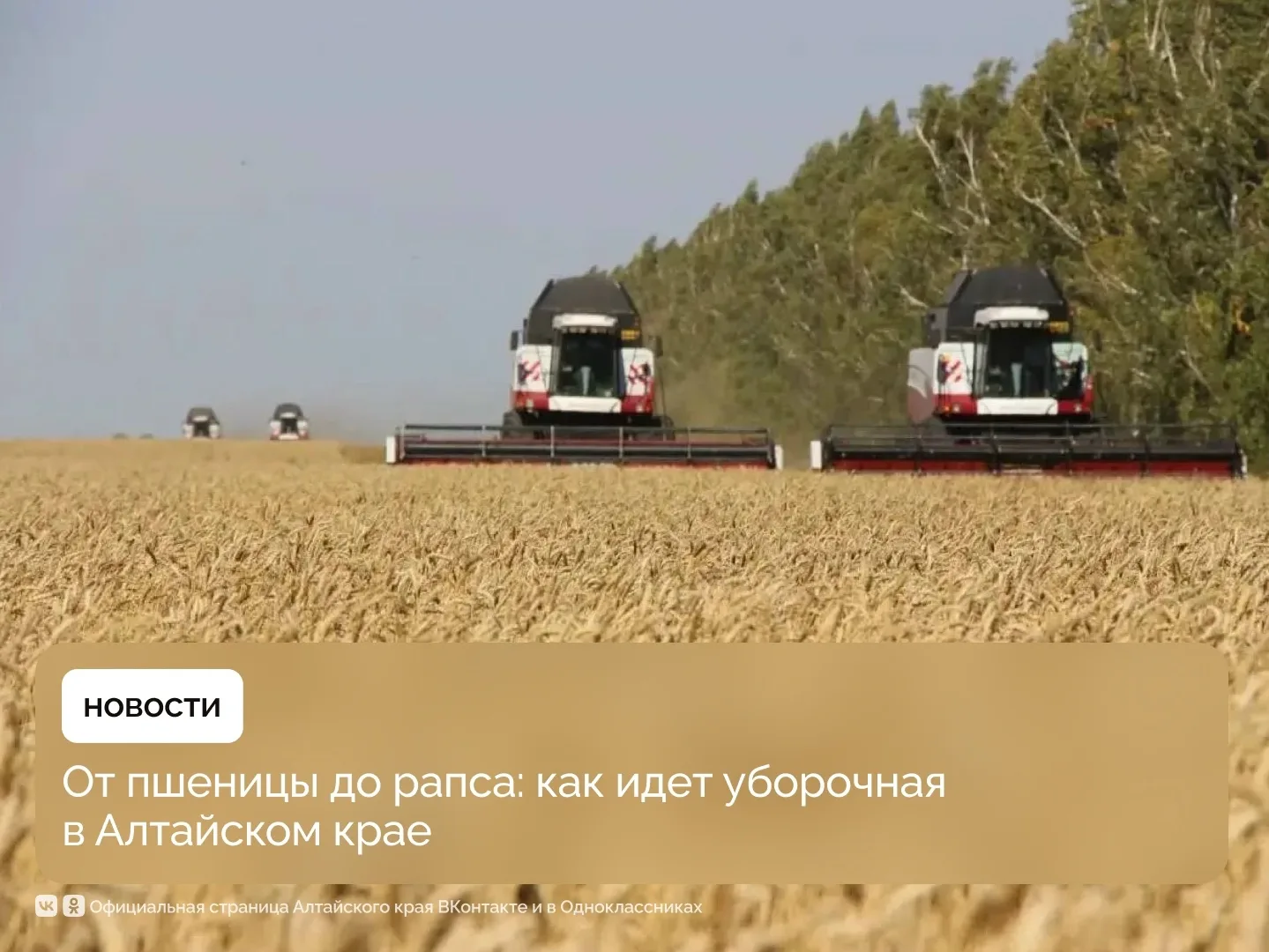 #АлтайСело