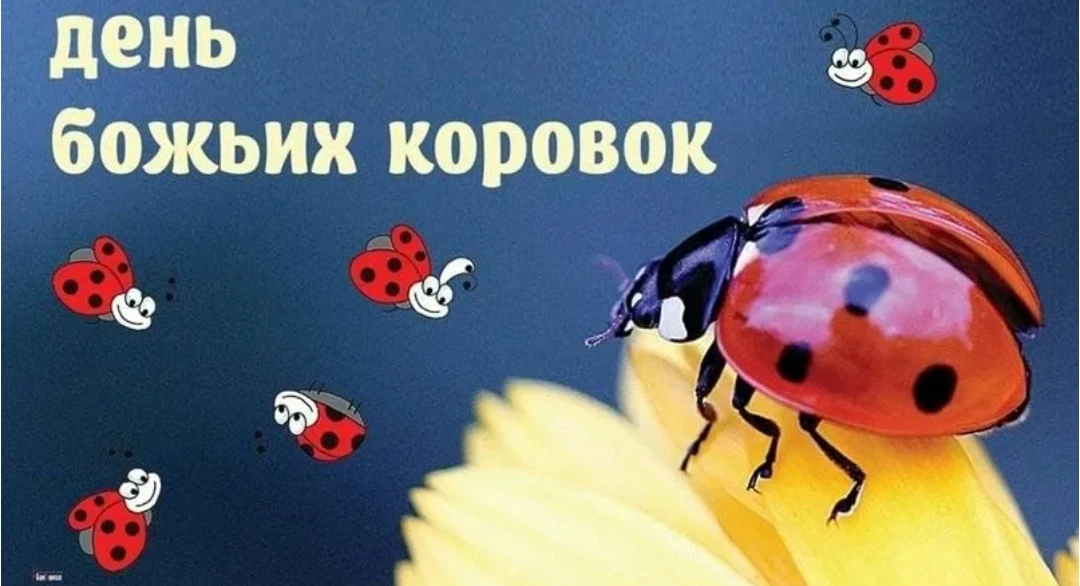 🧐 Что отмечают 13 июня?

 🐞День божьих коровок 
 🧳День маленького путешествия 
 🧷День рождения б