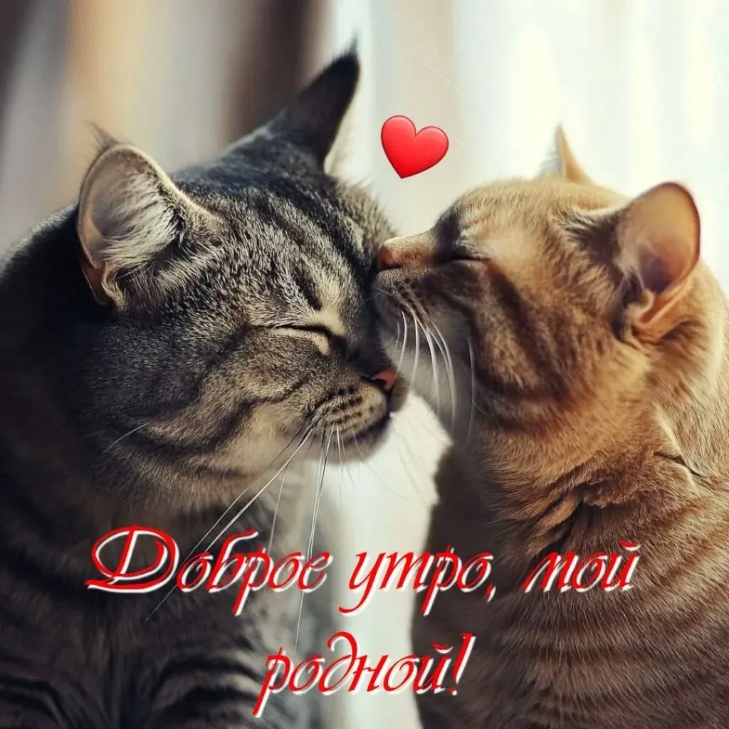 Понравилась открытка? Оставьте реакции ❤️