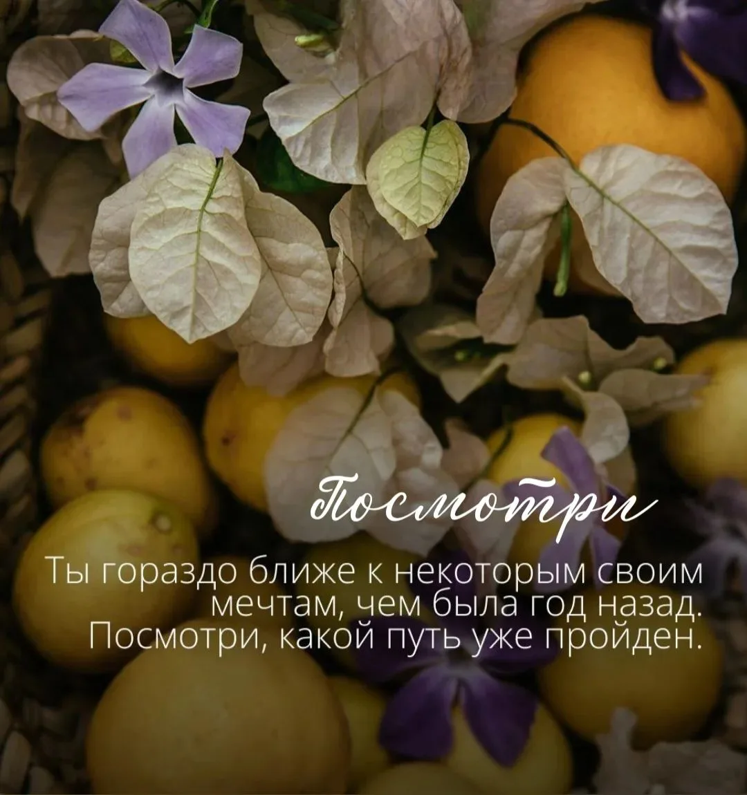 Дорогие друзья, добро пожаловать в октябрь! 🍁
