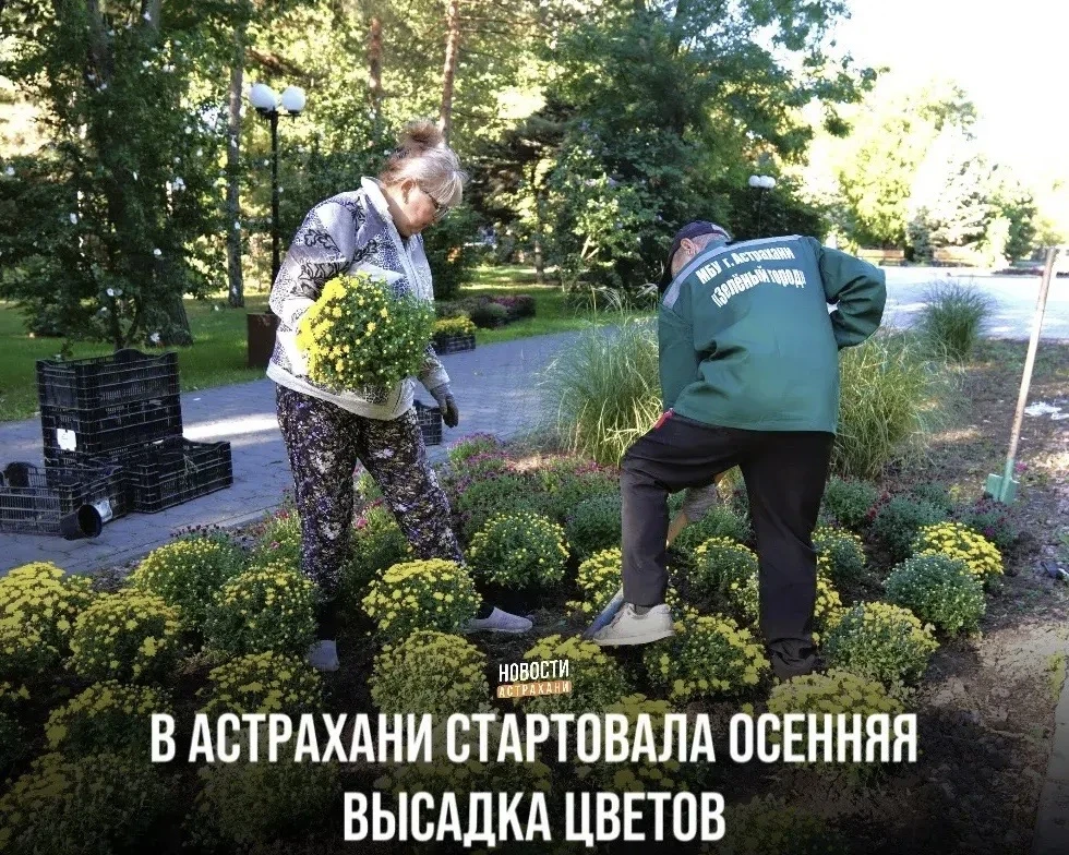 Специалисты «Зеленого города» приступили к обновлению клумб, вазонов и цветочных композ...