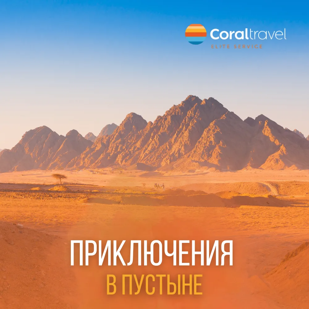 Египет: приключения в пустыне 🐪🌵
Экскурсионный Египет - это не только пирамиды. Пустыня преподноси