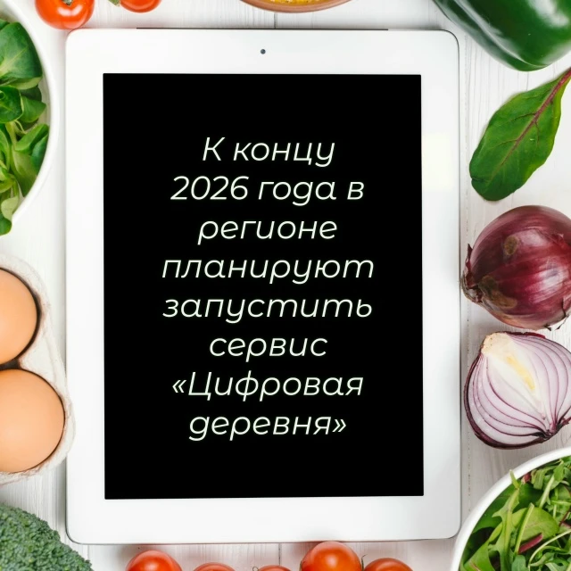 🛎Проект реализуют Минэкономразвития и Минцифры региона для жителей отдаленных и трудно...