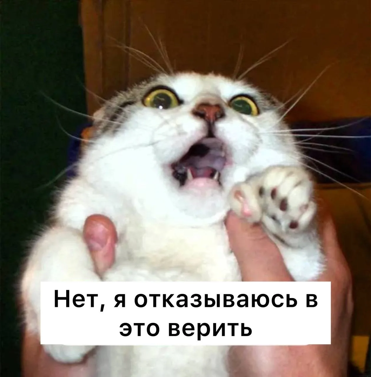 Алкоголь ускоряет старение мозга в три раза, — ученые  Мозг 40-летнего человека, злоупотребляющего с