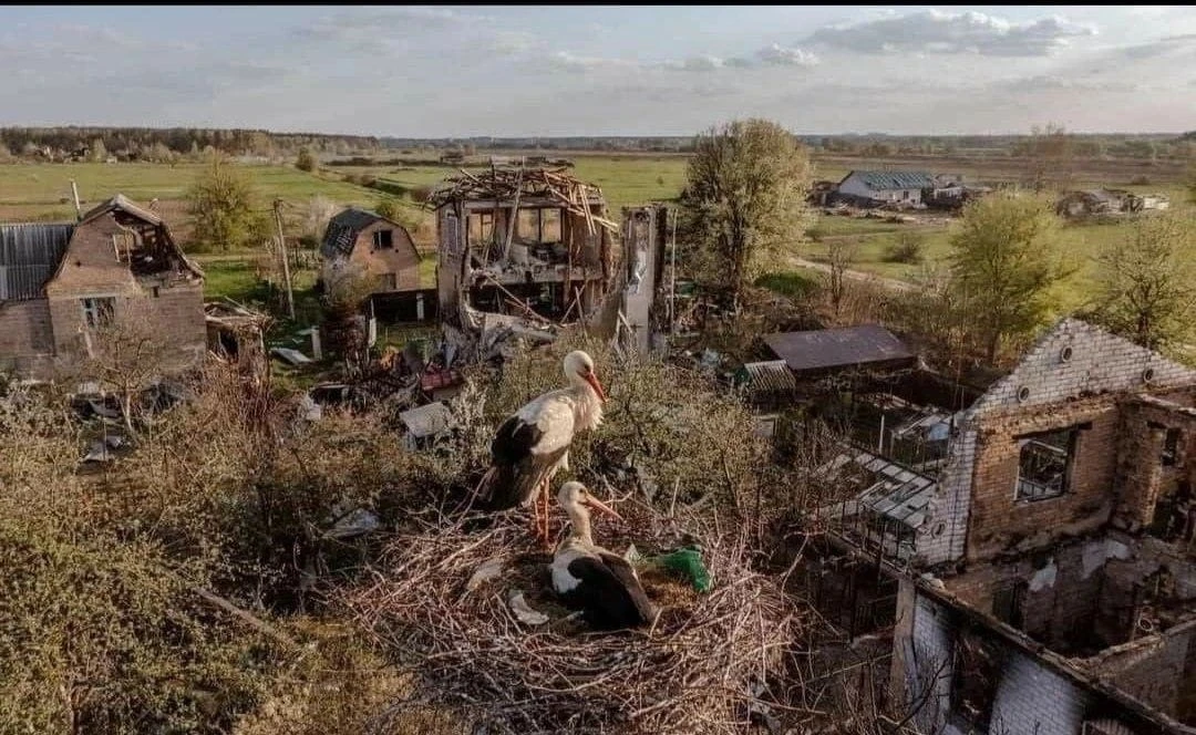 Изображение 1 к публикации «Картавых Александр»