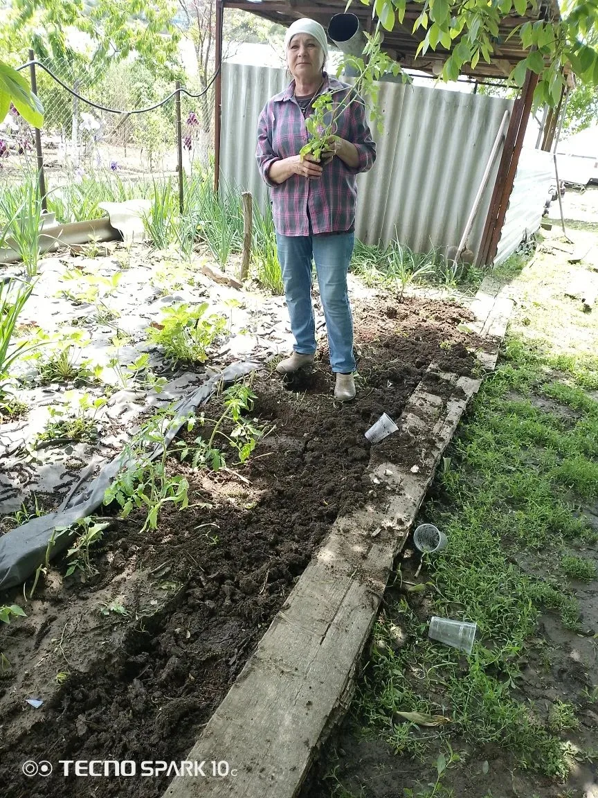Получатель социальных услуг отделения социального обслуживания на дому 6 с Развильное Р...