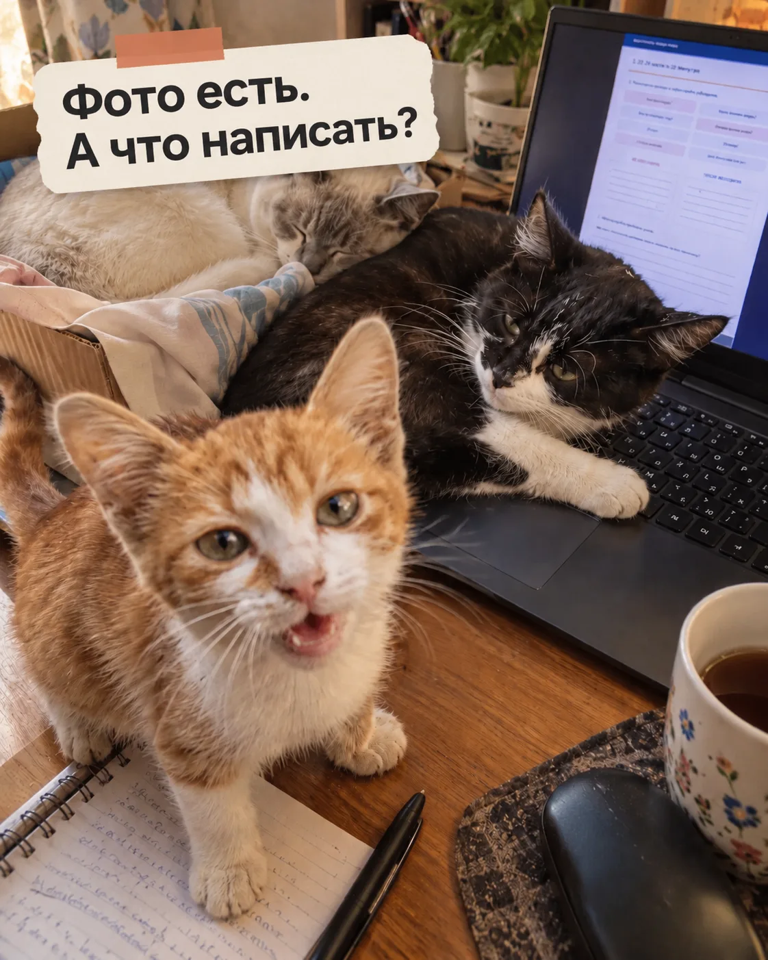 Сделали работу. Сфотографировали. Осталось написать: «Ещё один заказ готов»?
