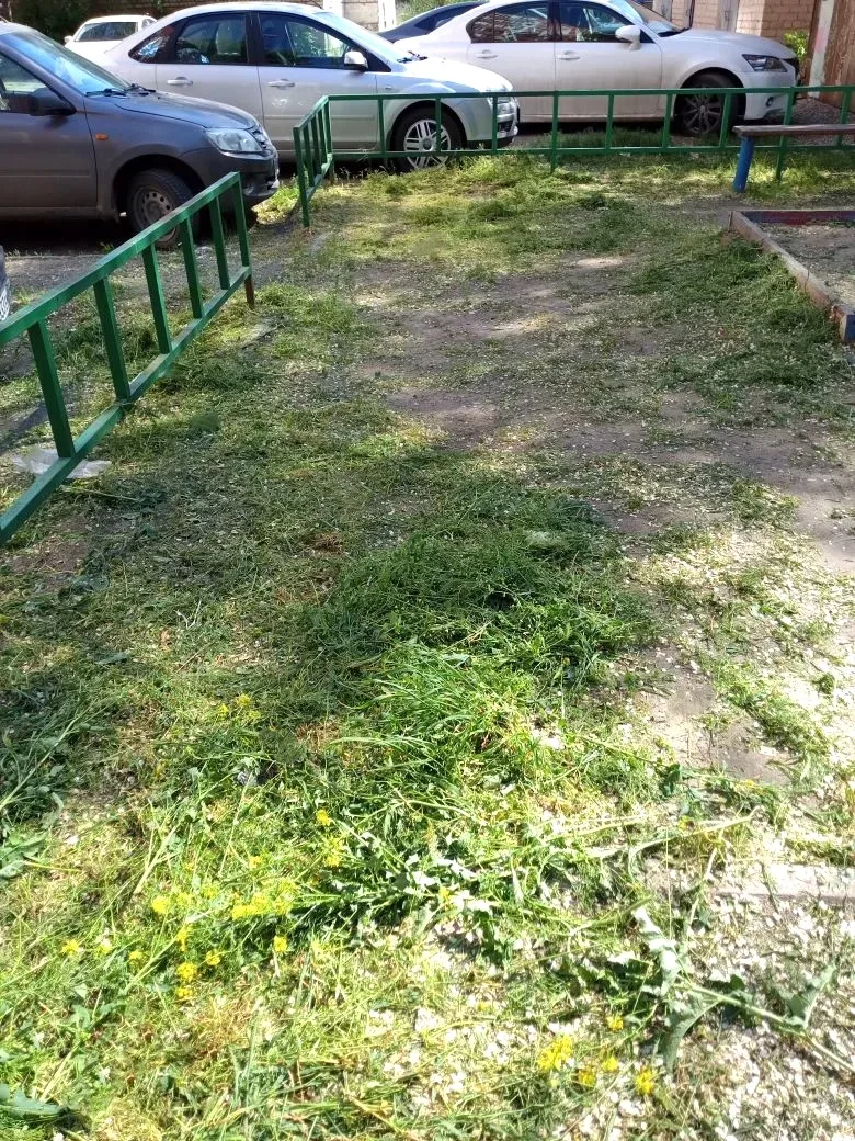 К новости «Фотографии с места проведения работ смотрите выше 📸 👆»