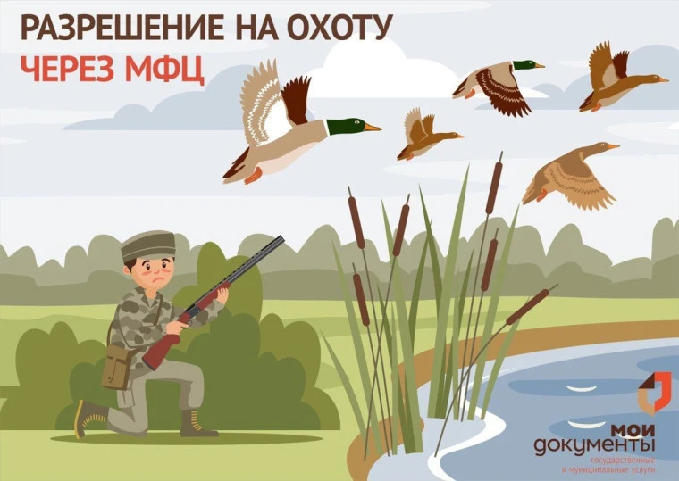 Ведётся прием заявлений на выдачу разрешений на добычу пушной и водоплавающей дичи.