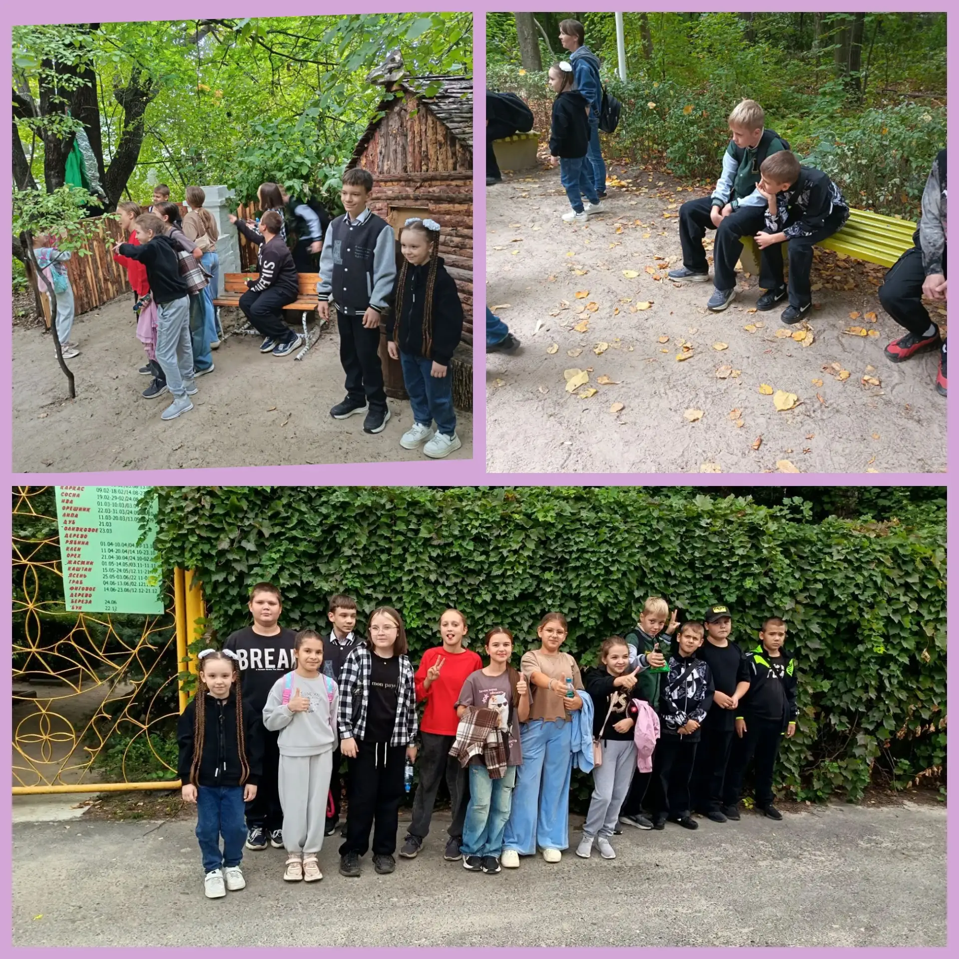 🍂 Осенний день без гаджетов!
