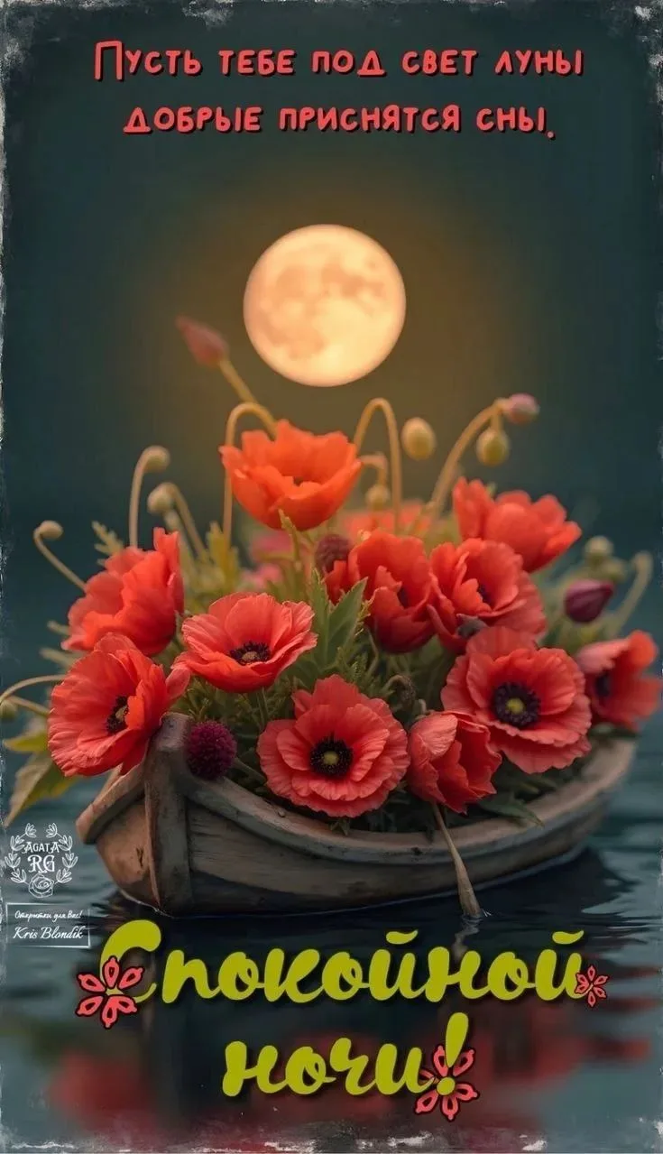 Спокойной ночи, мои дорогие! Сладких снов ❤❤❤