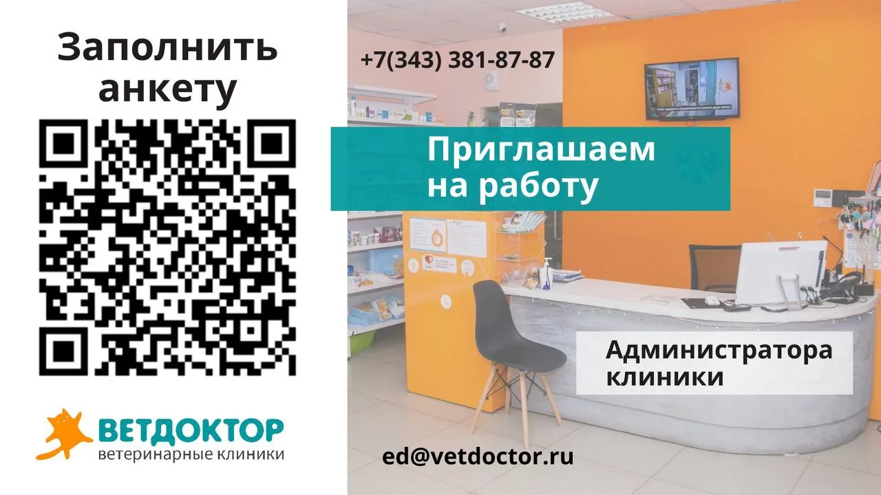 Хотите стать частью нашей команды?