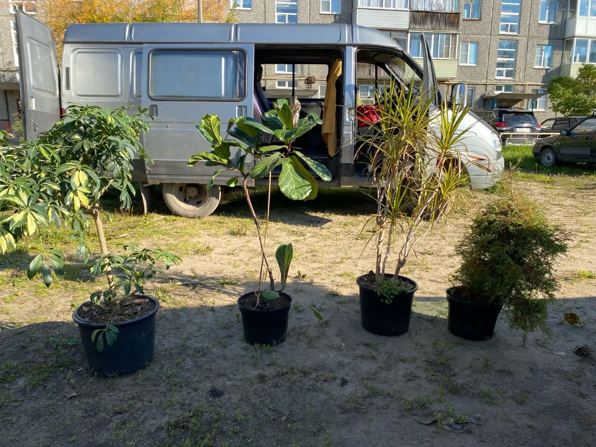 👍🍊В Коряжме прошла ярмарка «Сам себе дачник» 🧅🌽