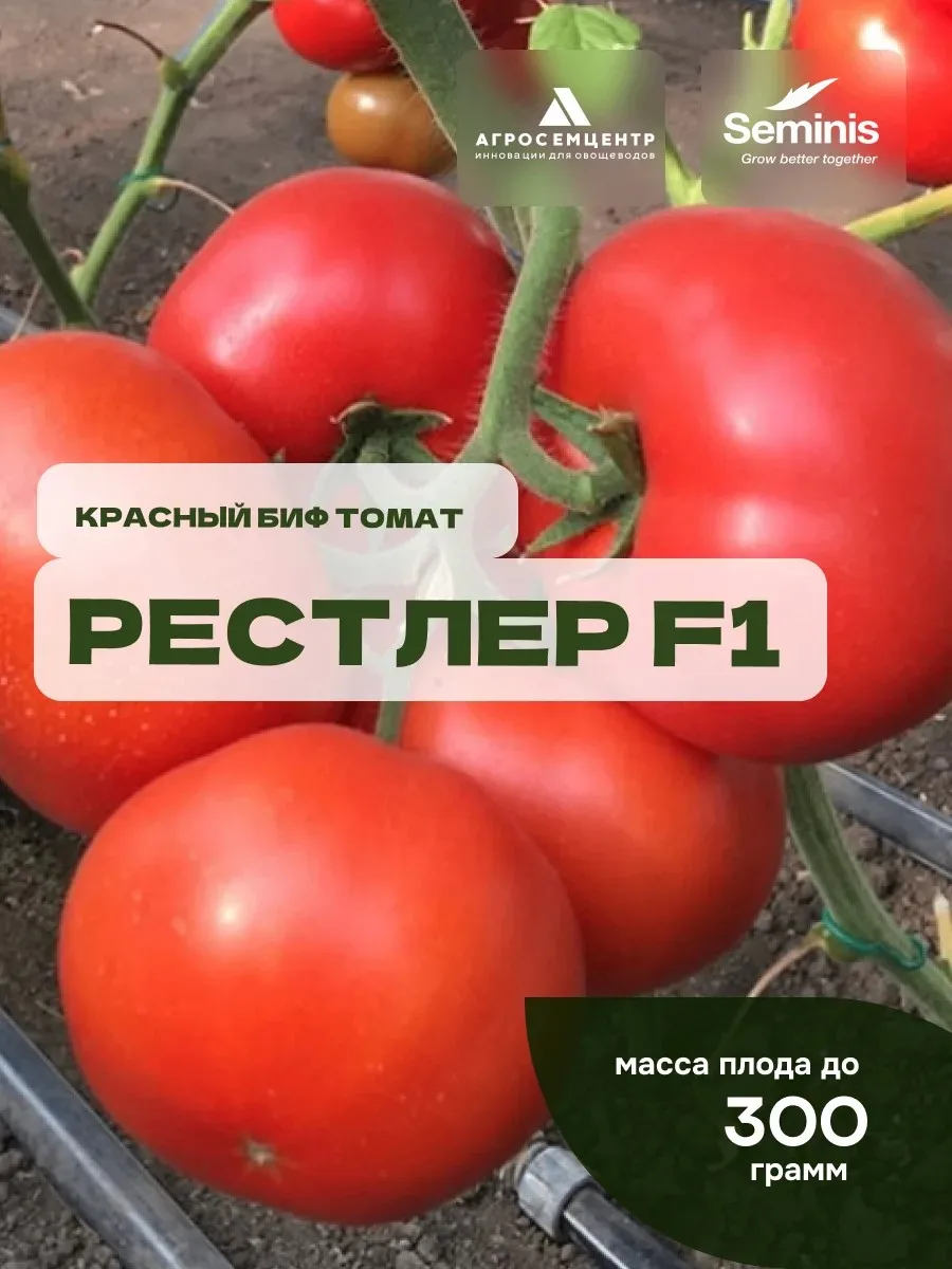 Хочется помидоров «ещё вчера»?