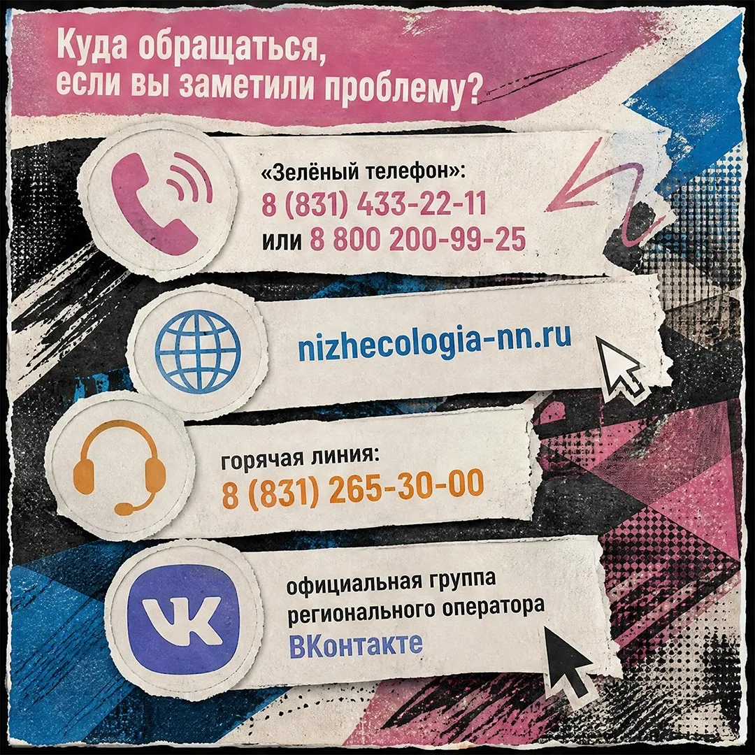 Контейнеры переполнены? Разбираемся, кто отвечает за чистоту и куда обращаться

В карточках — вся не