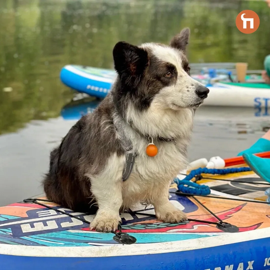 Водные процедуры по расписанию🤩