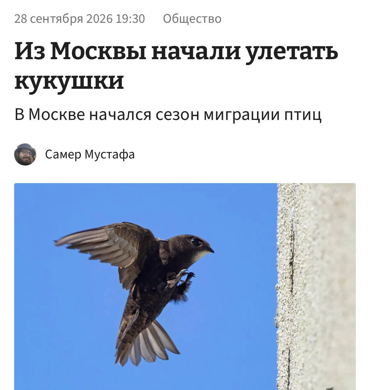 В Москве начался сезон миграции птиц