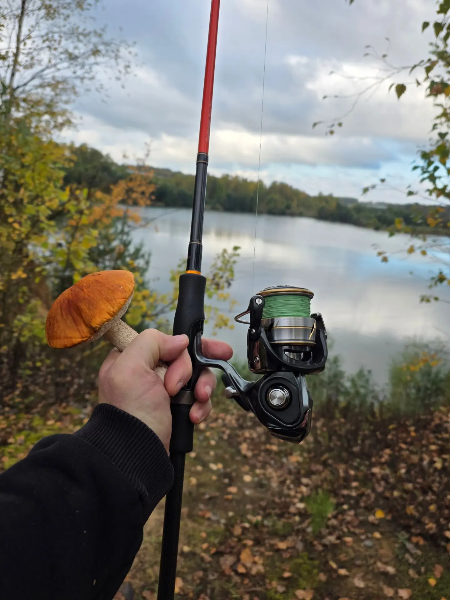 ​Рыбалка с элементами тихой охоты и сюрпризами от «коллег» 🎣🍄