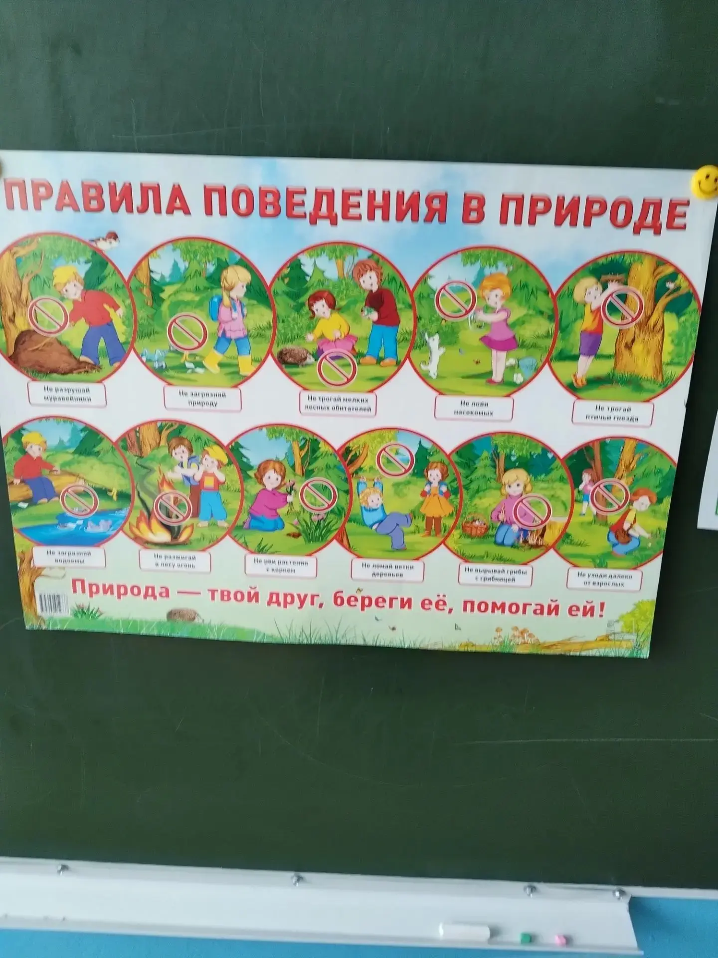 🎉День, полный приключений и тёплых эмоций! 🤗
Сначала ребята из пришкольного лагеря вместе с вожаты