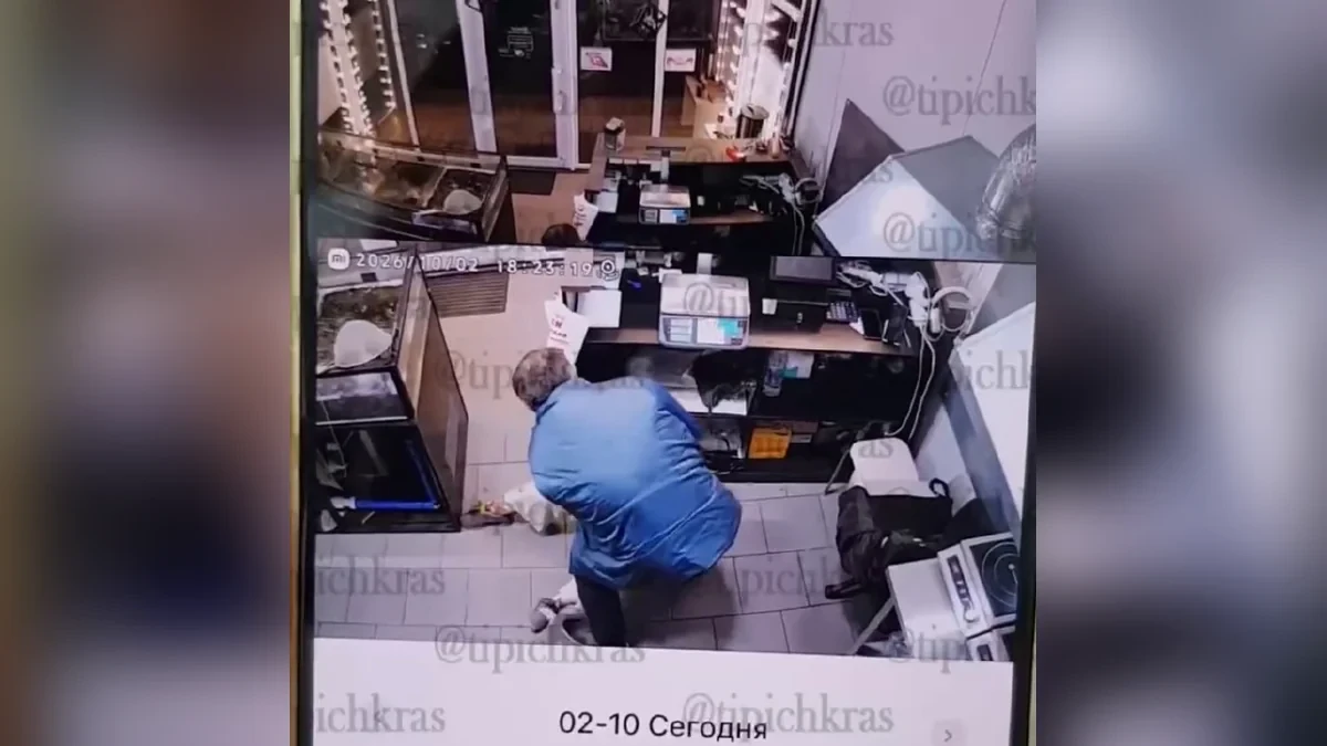 📰 Избившему продавщицу раков в Краснодаре мужчине грозит до пяти лет колонии