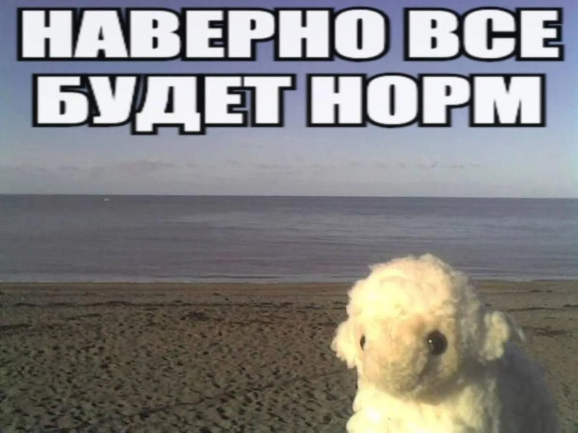 ПОЧЕМУ КУРС РАБОТАЕТ?