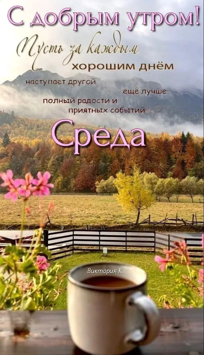 Доброе утро, СКОРПИОНЧИКИ! 🦂