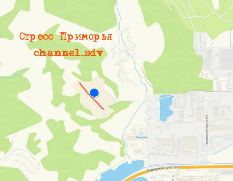 🐻 Медведь приходит в Находку