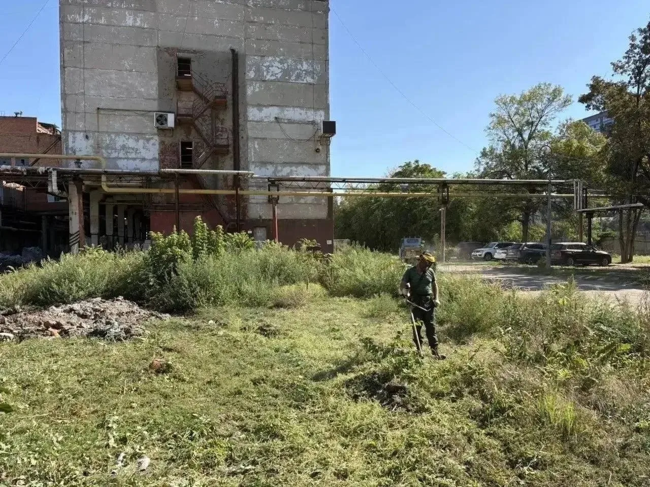 Более 33 000 гектаров сорняков скосили за полгода в Краснодаре, рассказали в мэрии