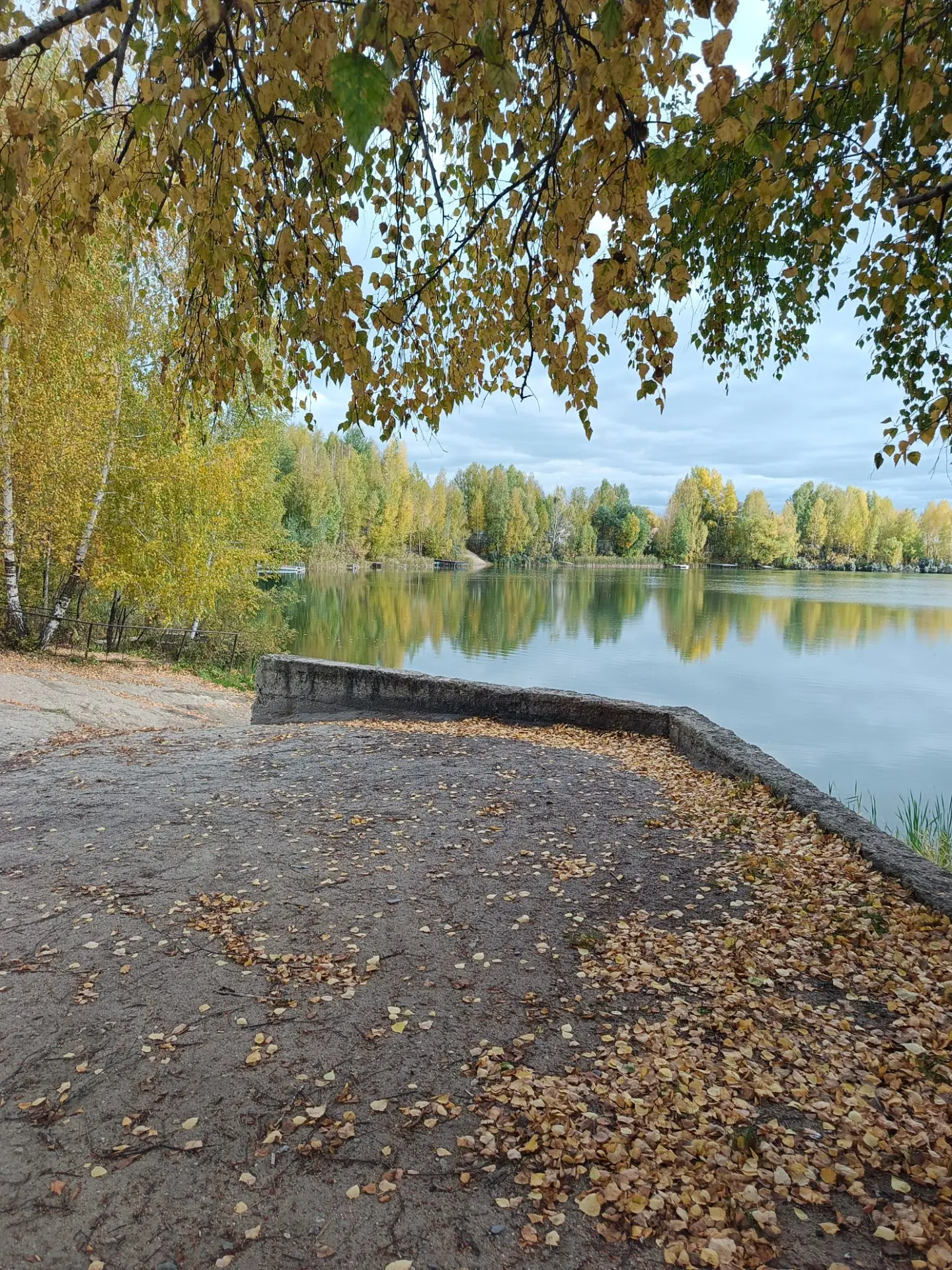 Краски осени😍