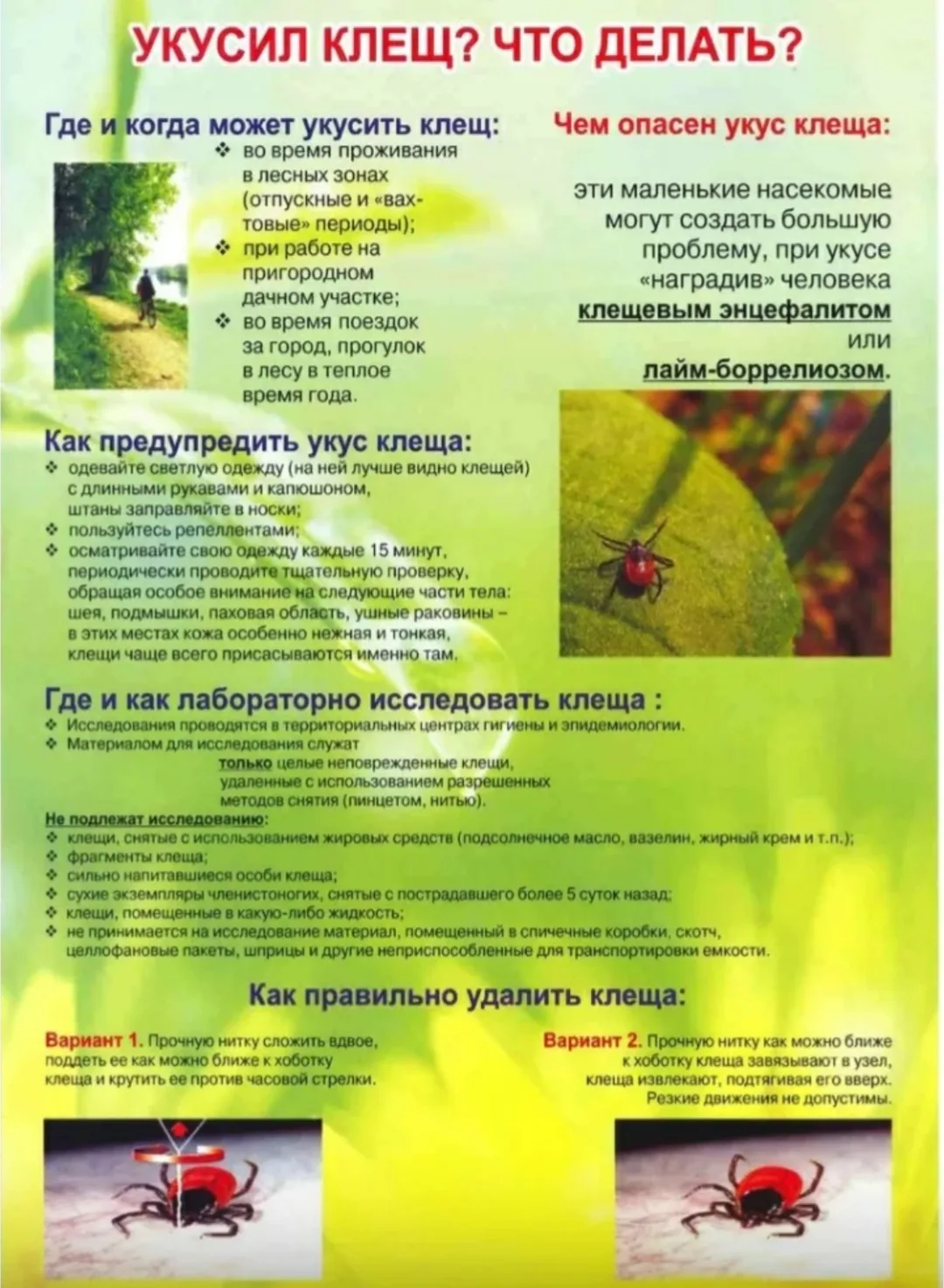 Осторожно клещи.