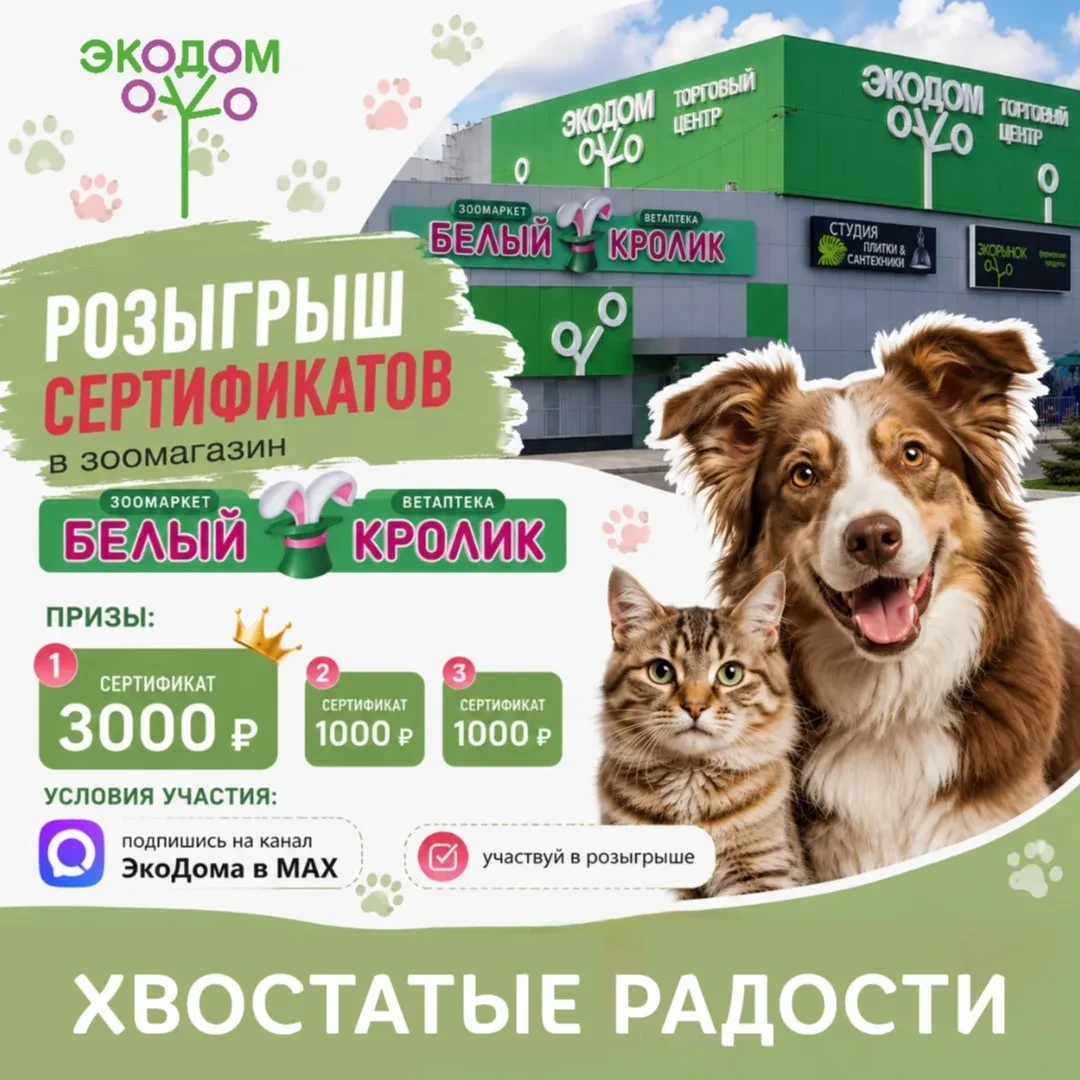 🎁 РОЗЫГРЫШ ОТ ЭКОДОМА