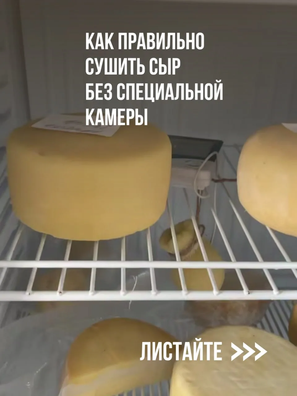 Изображение 1 к публикации «Школа Сыроделия Алексея Сыровера»