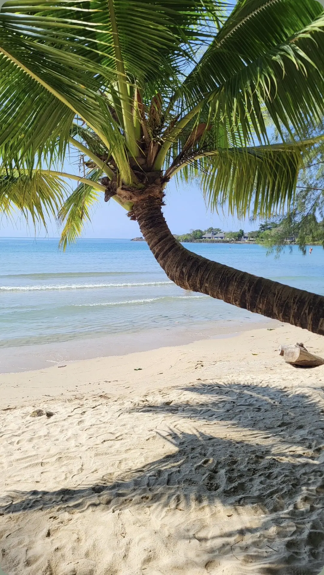 🌴 РАННЕЕ БРОНИРОВАНИЕ ТАЙЛАНДА 🌴