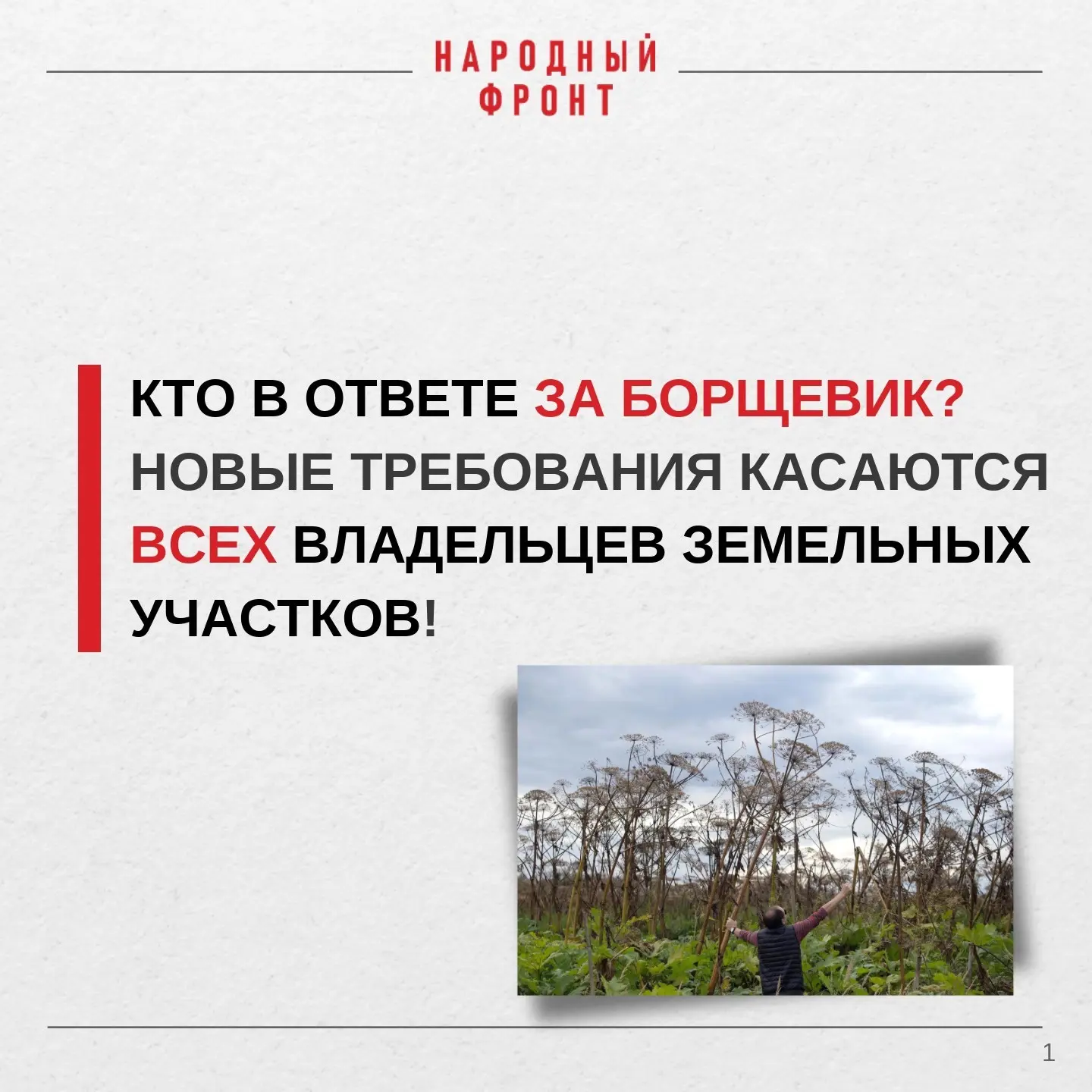Кто в ответе за борщевик?

С 1 марта 2026 года владельцы земельных участков в России обязаны боротьс