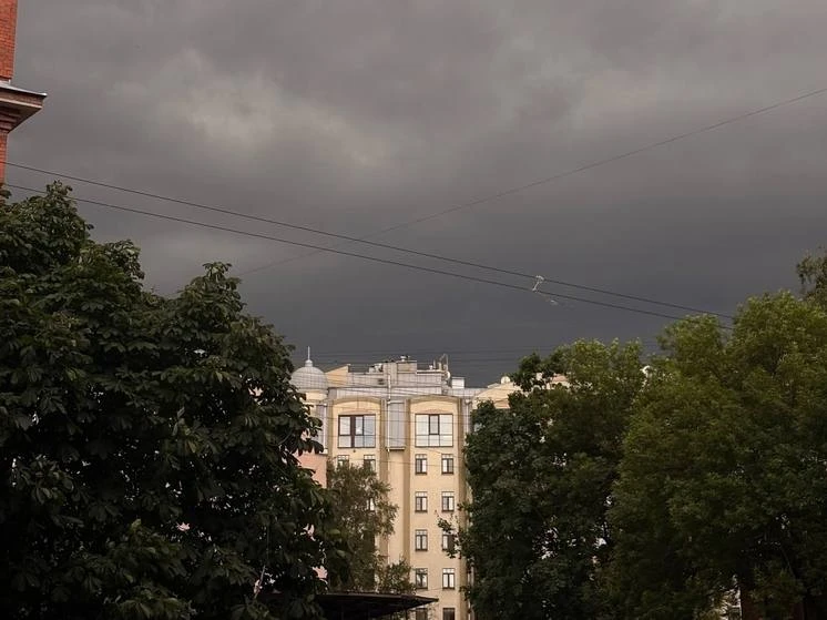 Петербург и Ленобласть ждут два летних дня с грозами    В среду в Ленинградской области ожидается оч