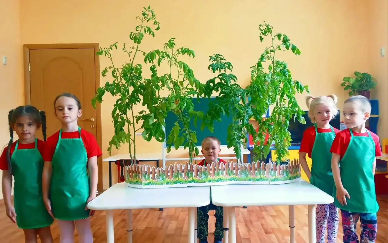 Вот такой огород на окне вырастили воспитанники агрогруппы "Агрознайка".🍅🍅🍅