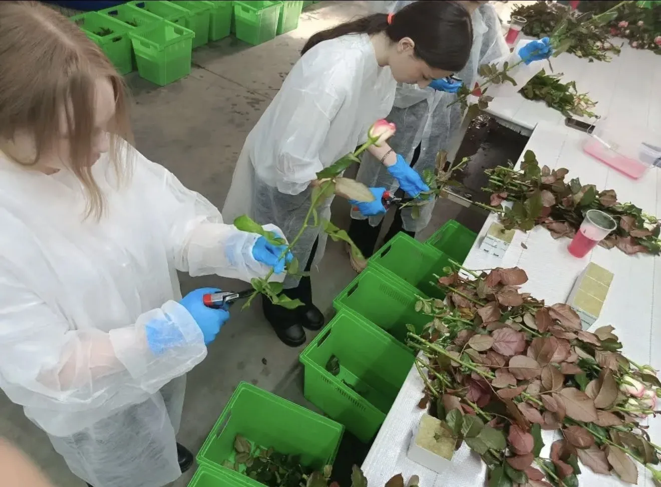 🌿 Наши школьники принимают участие в замечательном конкурсе "Воплоти свою мечту", где представят сво