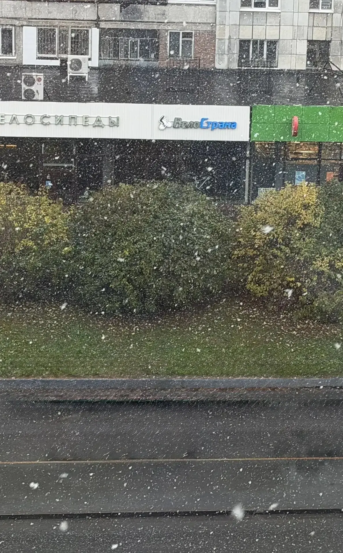 Очередное снежное утро в Тюмени ❄️