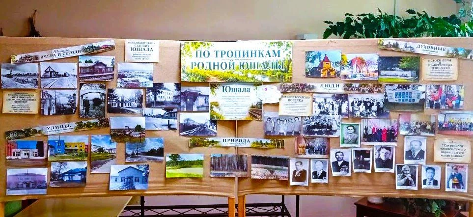 По тропинкам родной Юшалы

В Юшалинской поселковой библиотеке оформлена фотовыставка «По тропинкам р