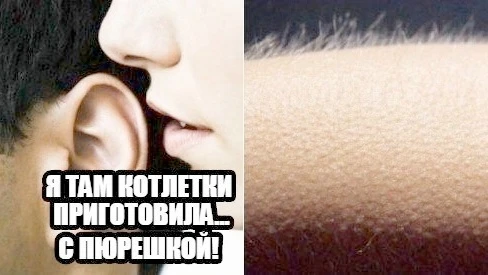 Создать ИИ песню 🎵