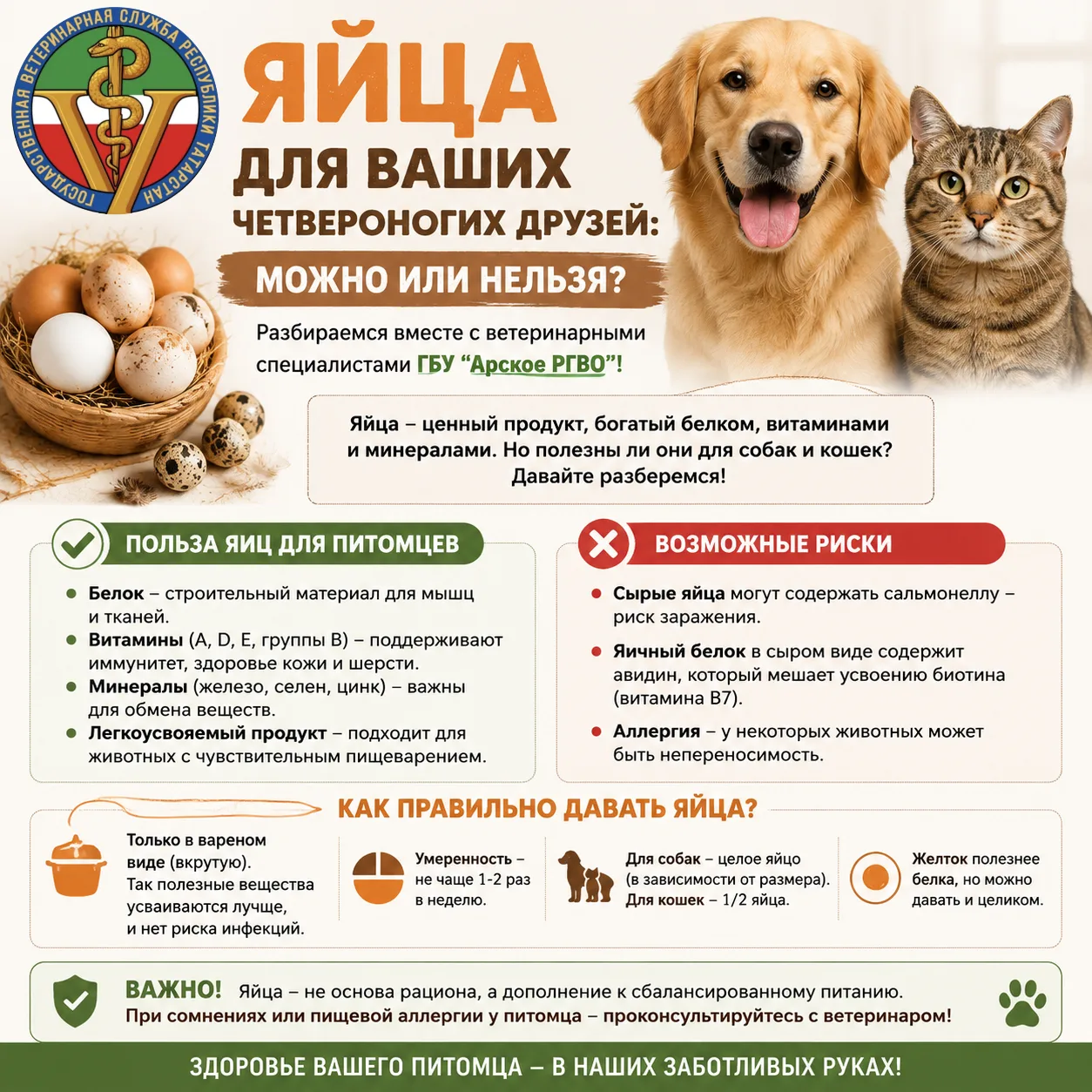 Яйца для ваших четвероногих друзей: можно или нельзя?

  Разбираемся вместе с ветеринарными специали