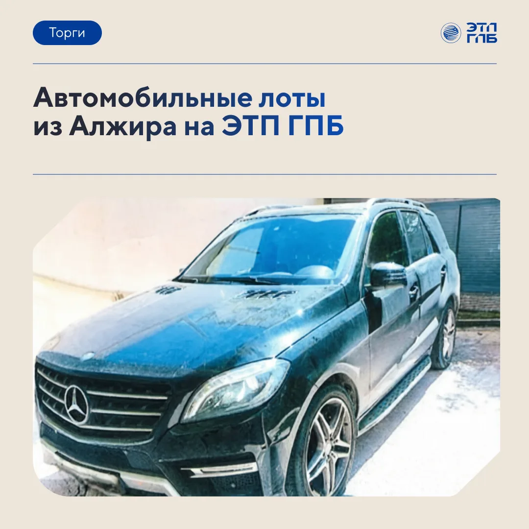 🇩🇿 Автомобили международного представительства: подборка легковых автомобилей ПАО «Га...