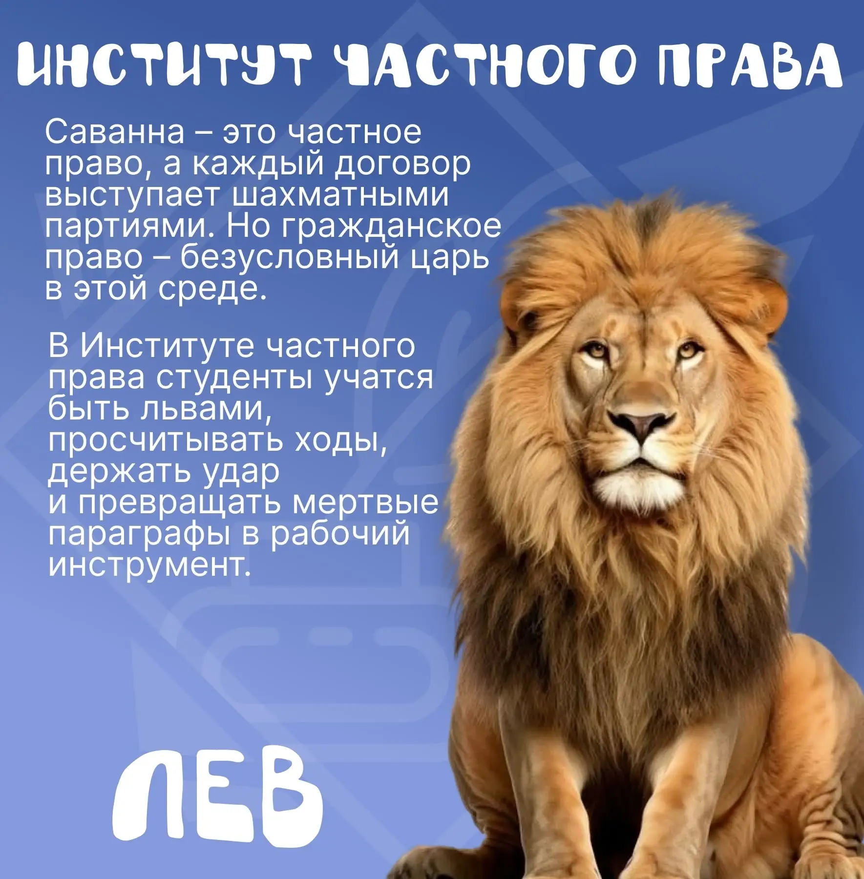🐾 Добро внутри нас!